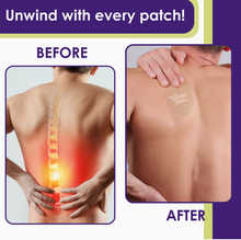 Load image into Gallery viewer, Relief Night Pain Patch - Arnica, Melatonin, Menthol 8 Pack