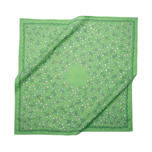 Load image into Gallery viewer, Posey Bandana 106