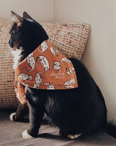 Kitties Bandana