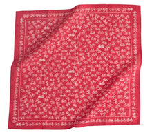 Load image into Gallery viewer, Bikes Red Bandana